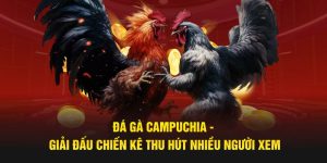 Đá Gà Campuchia - Giải Đấu Chiến Kê Thu Hút Nhiều Người Xem